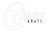 C-HAWK-logo